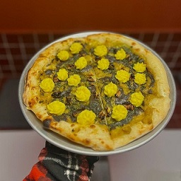 30 سانتی، خمیر نیویورکی، کشک، بادمجان سرخ شده، گردو رست شده، روغن نعنا، پوره سیب زمینی زعفرانی، به همراه کشک اضافه